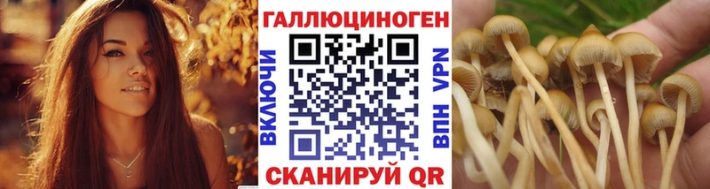 Псилоцибиновые грибы MAGIC MUSHROOMS Салават